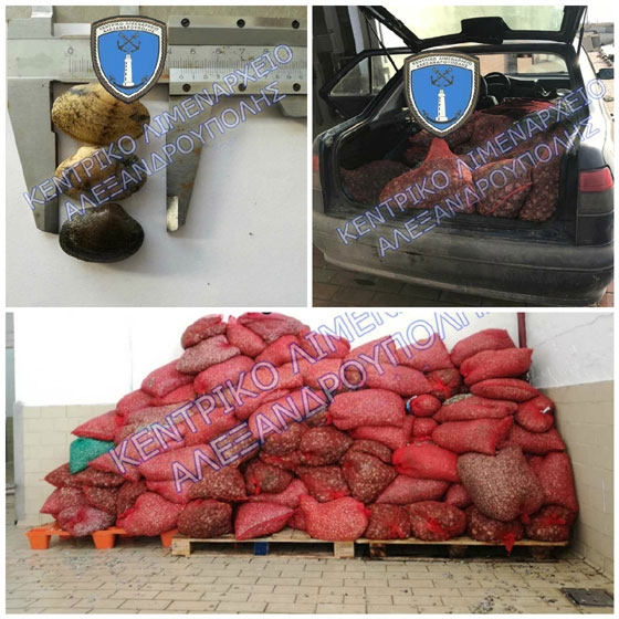 Το συνολικό βάρος των οστράκων ανέρχεται σε δύο χιλιάδες εννιακόσια εξήντα εννέα κιλά (2.969 kg)