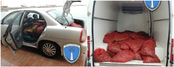 Όστρακα 2,5 τόνων κατασχέθηκαν στην Αλεξανδρούπολη