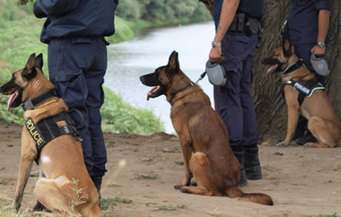 'Ειδικά στον Έβρο οι έλεγχοι έχουν γίνει ασφυκτικοί.'