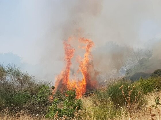 Ήδη στο σημείο βρίσκεται όχημα της πυροσβεστικής υπηρεσίας.