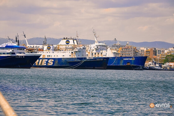 Οι τετράποδοι φίλοι μας δεν αφήνουν τίποτα να τους ξεφύγει!