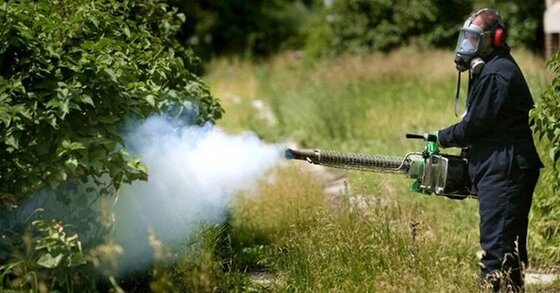 Συνεχίζονται οι ψεκασμοί στον Έβρο για τα κουνούπια.