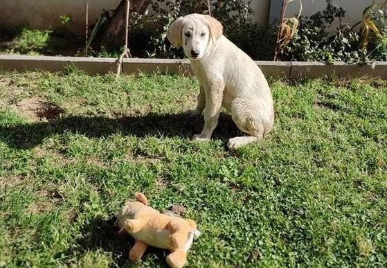 Αυτή είναι η μικρή Αλέξα!