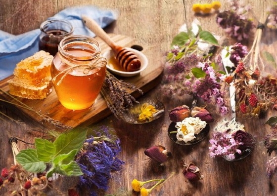 Αναλυτικά το πρόγραμμα της 17ης Γιορτής Μελισσοκόμων & Οικοτεχνών στη Νέα Ορεστιάδα