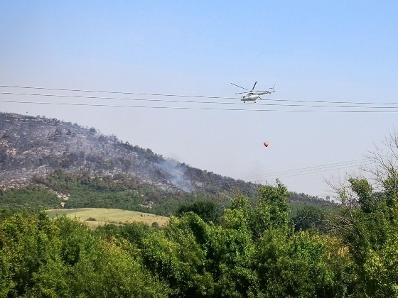 Στην αποκατάσταση του δάσους της Δαδιάς βοηθά και το ΔΠΘ!